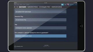 поддержка Стим