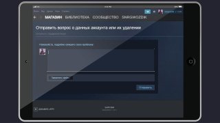 поддержка Стим