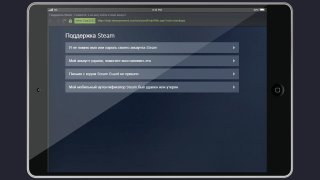 поддержка Стим