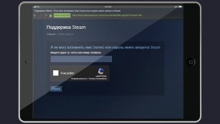 поддержка Стим