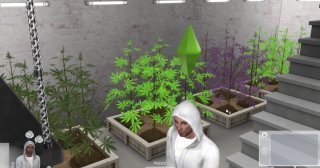 Jak nainstalovat mod Basemental Drugs pro The Sims 4