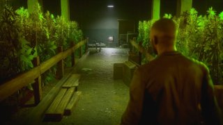 Убийца GTA В Steam можно опробовать симулятор наркоторговца с открытым миром