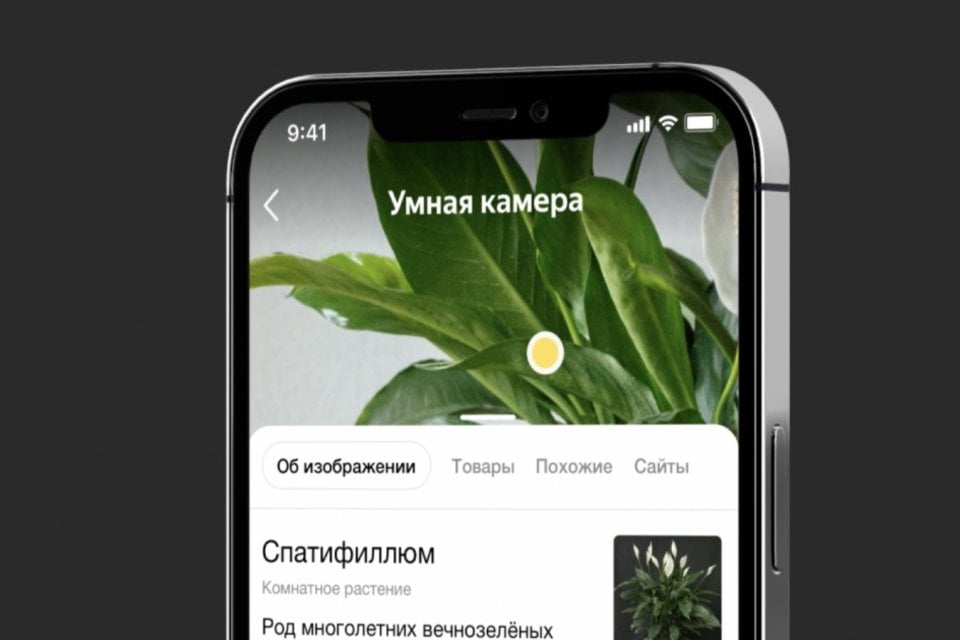 Умная Камера Яндекс Переводчик По Фото