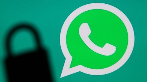 WhatsApp тоже заблокируют В Госдуме рассказали о будущем мессенджера