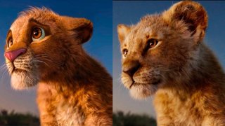 Disney показала первый кадр из фильма Муфаса Король лев с маленьким львенком