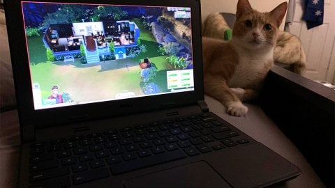 Как скачать The Sims 4 на ноутбук
