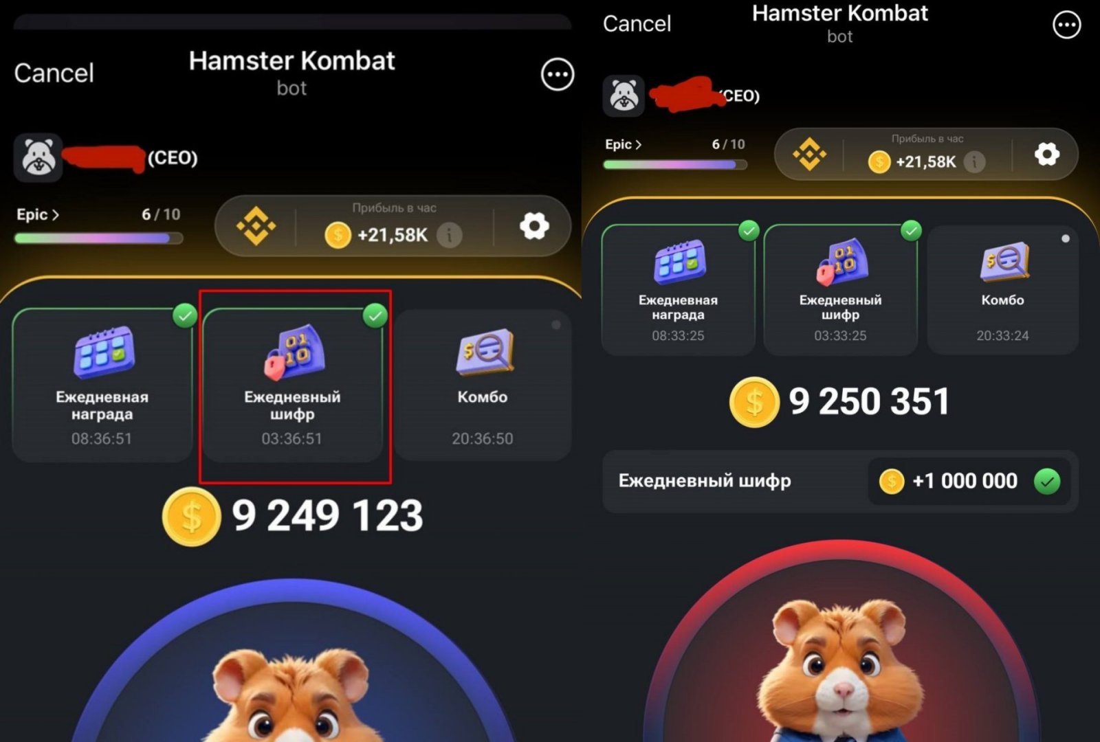 Hamster kombat как ввести шифр