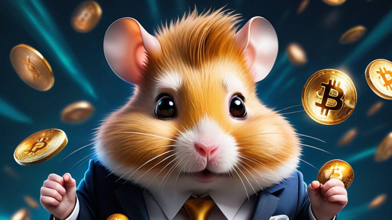 Какие три карточки в hamster kombat