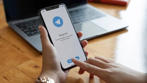 Как создать опрос в Telegram