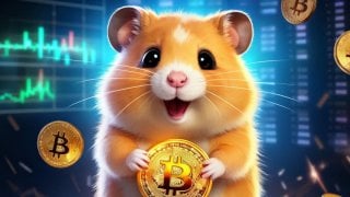 Золотых гор не будет сколько денег получат пользователи Hamster Kombat