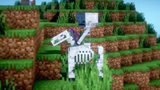 Где искать лошадьскелет в Minecraft