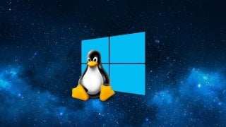 Windows или Linux что лучше и чем отличаются