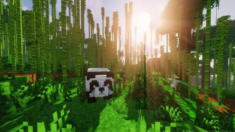 Все о бамбуке в Minecraft