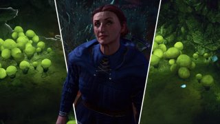 Где найти доброгриб в Baldurs Gate 3