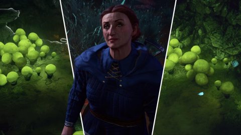 Где найти доброгриб в Baldurs Gate 3