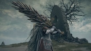 Двуручник с гибридным клинком в Elden Ring  где найти