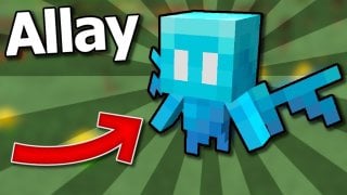Эллай в Minecraft