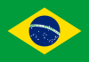 Бразилия Иконка флага страны
