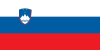 Словения Иконка флага страны